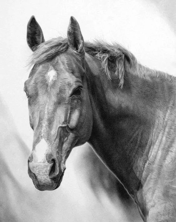 绱犳弿鍏ラ棬鍔ㄧ墿,绱犳弿鍔ㄧ墿瑙ｆ瀽