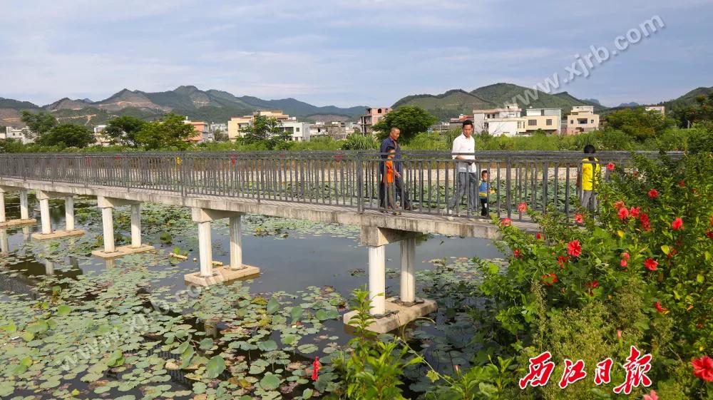 年收入翻了8倍多！肇庆这条村是怎么做到的？