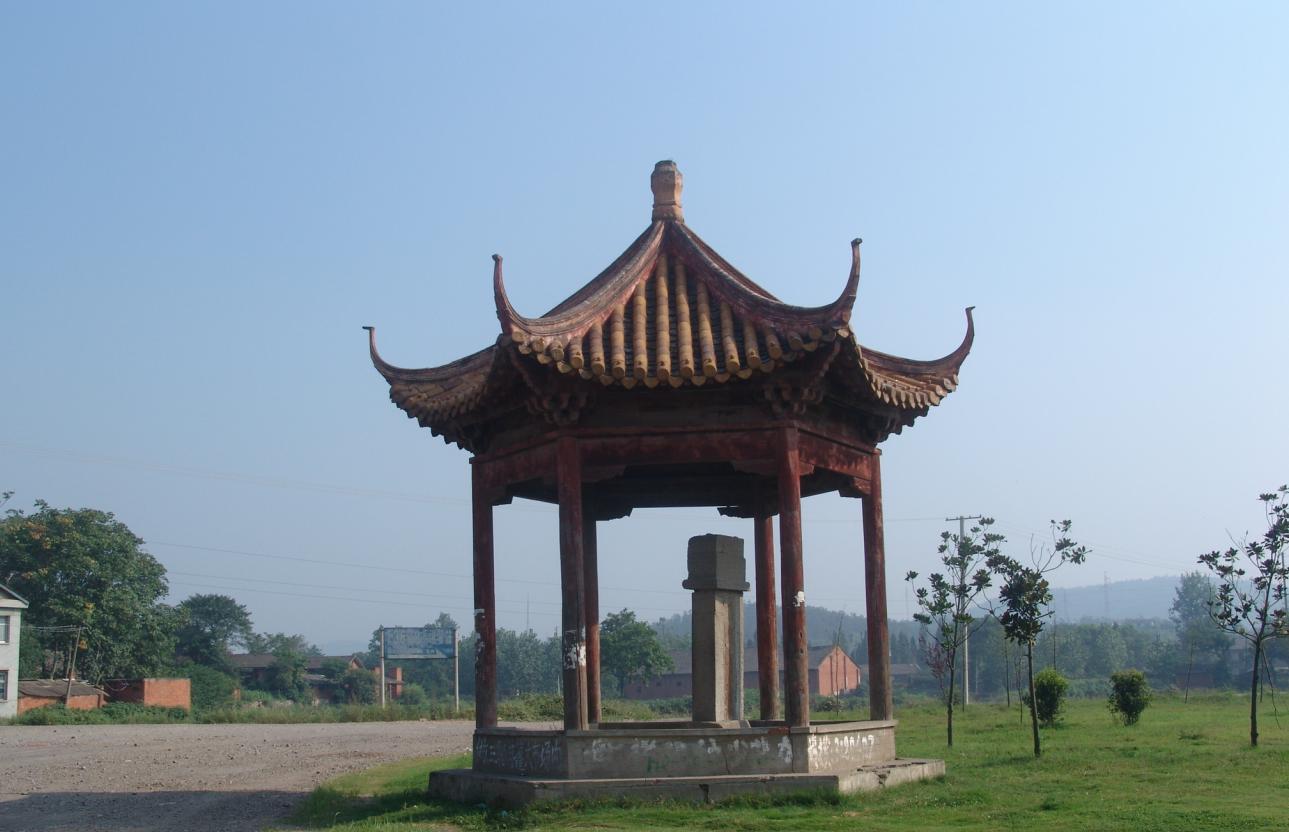 文化视野深度解析,文化视野下的文化视野