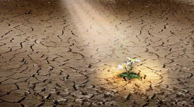 高人指路成功,高人指路创业方法