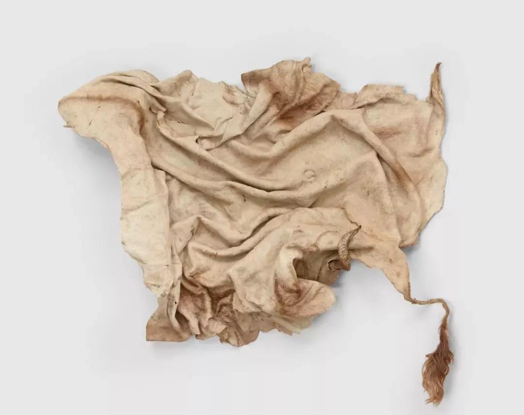 2017年迈阿密艺术博览会作品展示,2019年迈阿密魅力秀