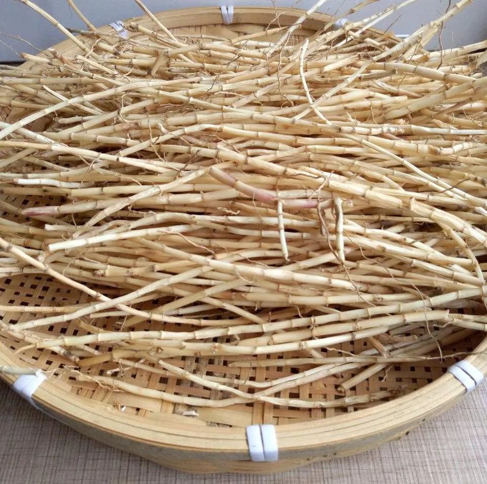 大自然馈赠的零食儿和玩具，炫燃了河南娃的童年