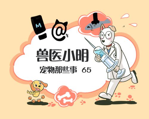 铲屎官猫咪放屁,铲屎官睡觉时猫咪放屁