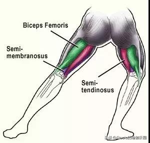 跑步可以减腿围吗,跑步减肥五天怎么小腿越来越粗