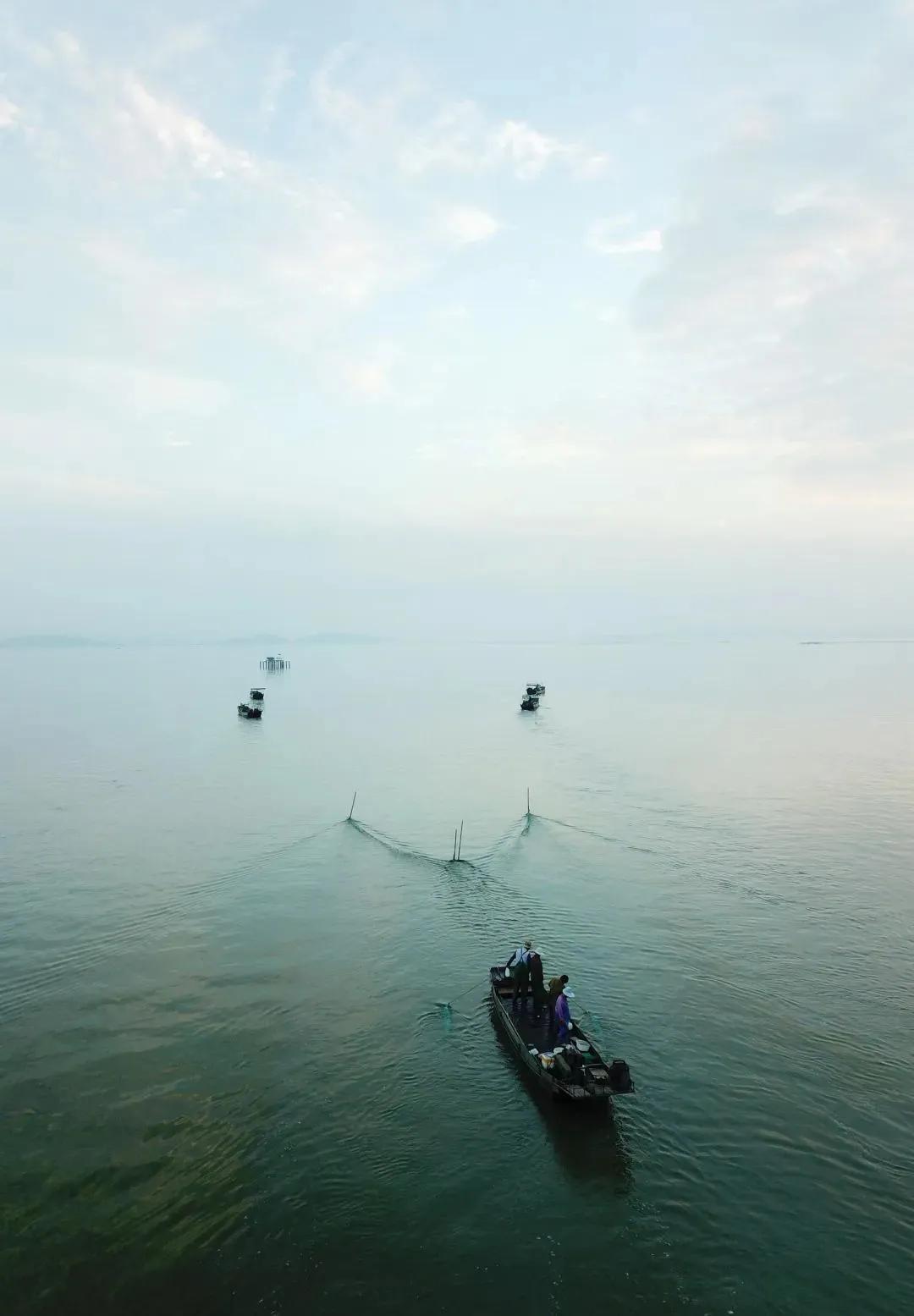 湖州为什么没有湖,芜湖是哪个省的!