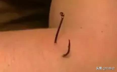 鱼钩挂住了鱼怎么弄下来,鱼钩挂底了怎么拉是正确的