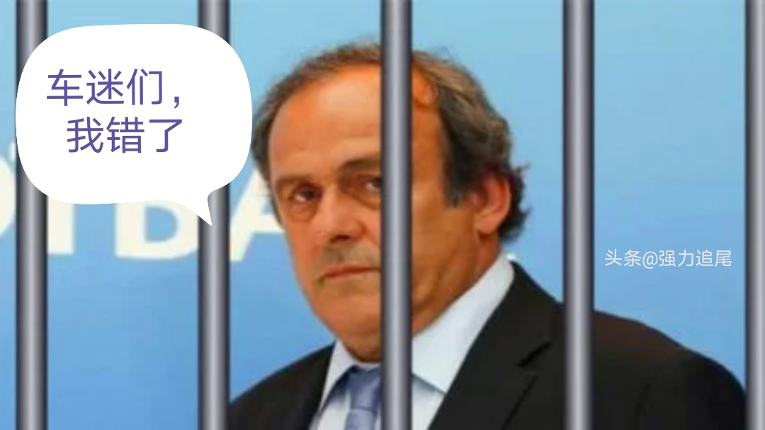 普拉蒂尼是什么样子,普拉蒂尼犯了什么错