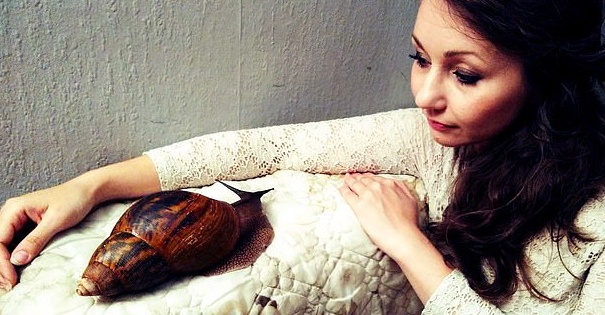 巨型蜗牛原来长这样,养一只巨型的非洲大蜗牛