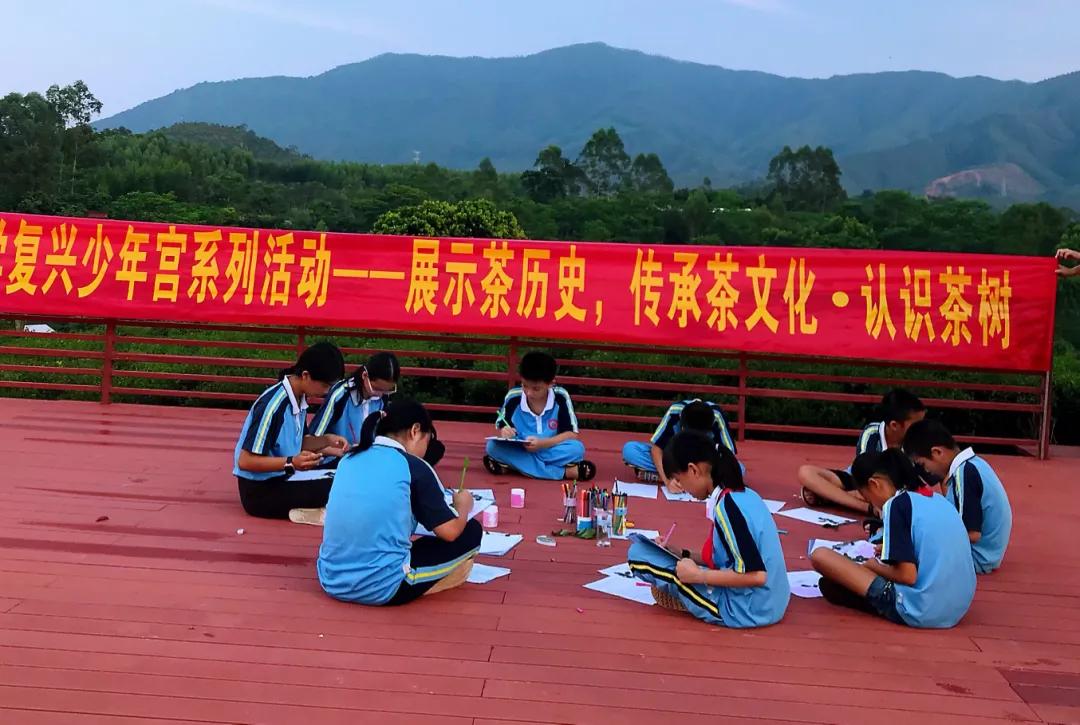 复兴少年宫放飞少年梦,乡村复兴少年宫挂牌