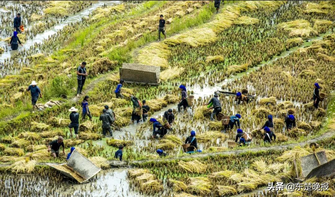 元阳梯田脱贫,红河哈尼族彝族自治州扶贫