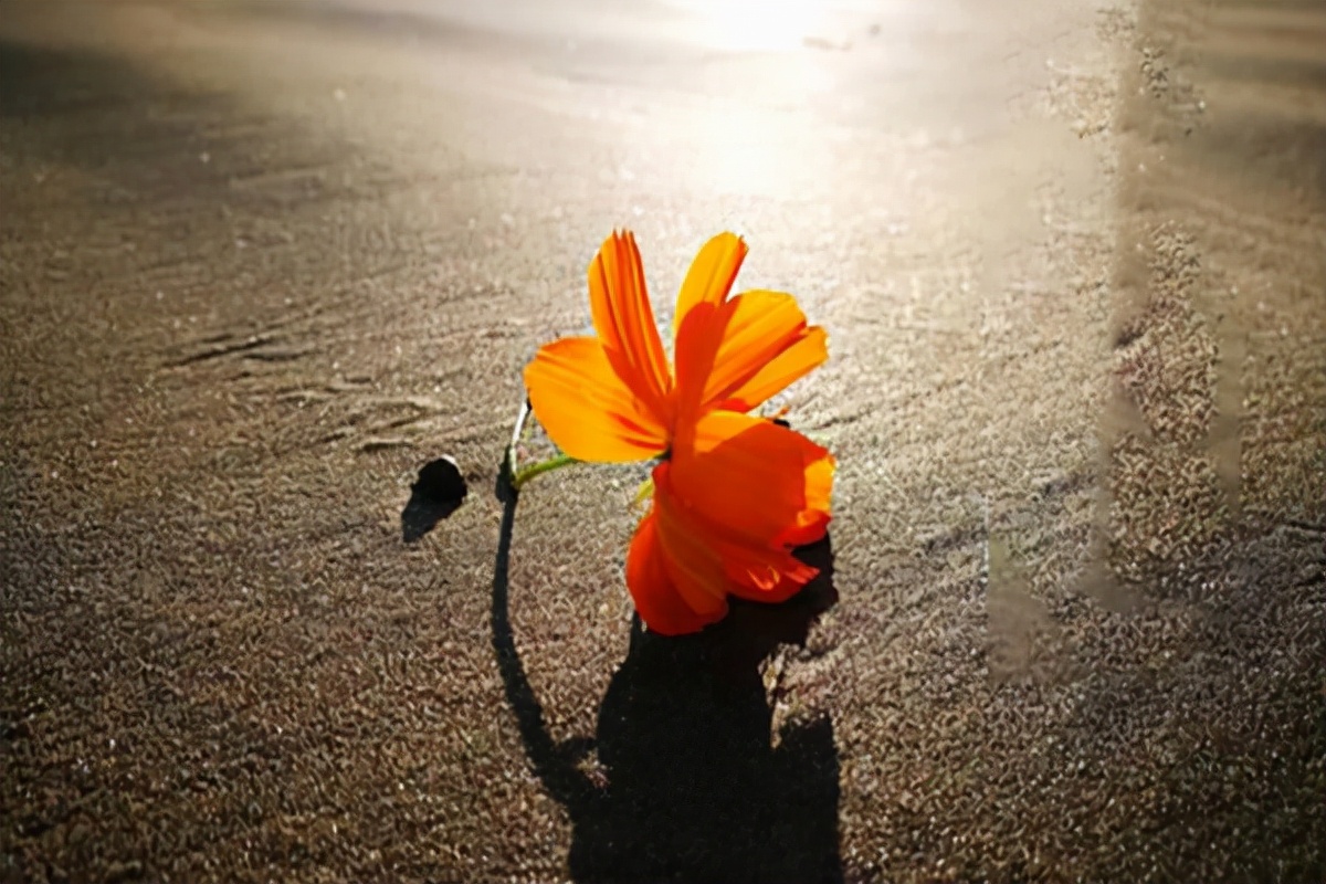 结婚之后媳妇总是特强势,结婚后老婆生气了怎么安慰