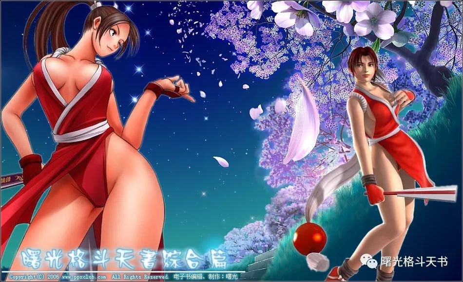 《曙光格斗天书》全目录20200913