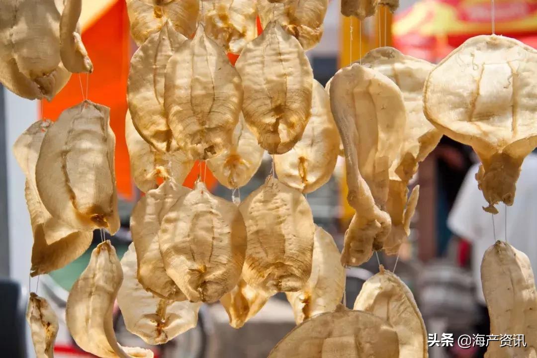 花胶正宗做法大全,花胶高级吃法做法大全