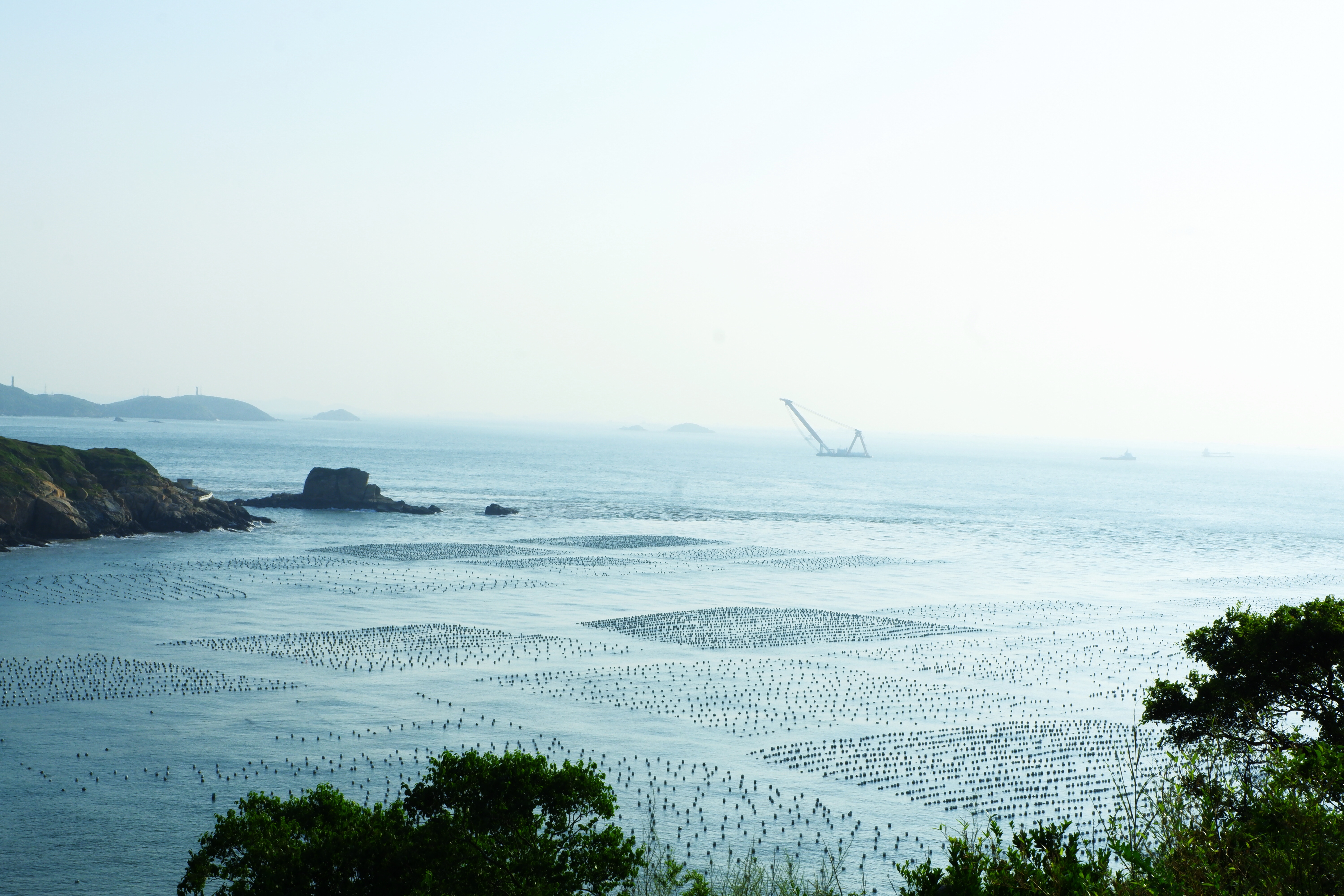 圣托里尼最美荧光海 (圣托里尼荧光海)