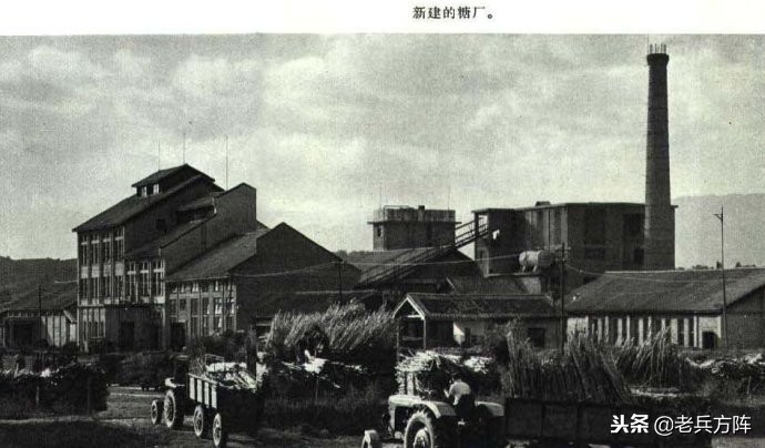 1973年人民画报:毛*东泽**时代工农和体育健儿