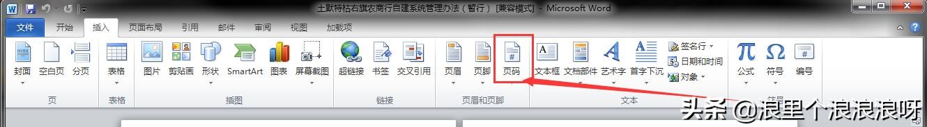 word文档横向侧边插入页码,word文档插入不了页码怎么回事