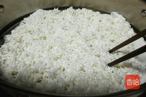 别再花钱买甜酒了自己做也很容易,手把手教你酿制米酒