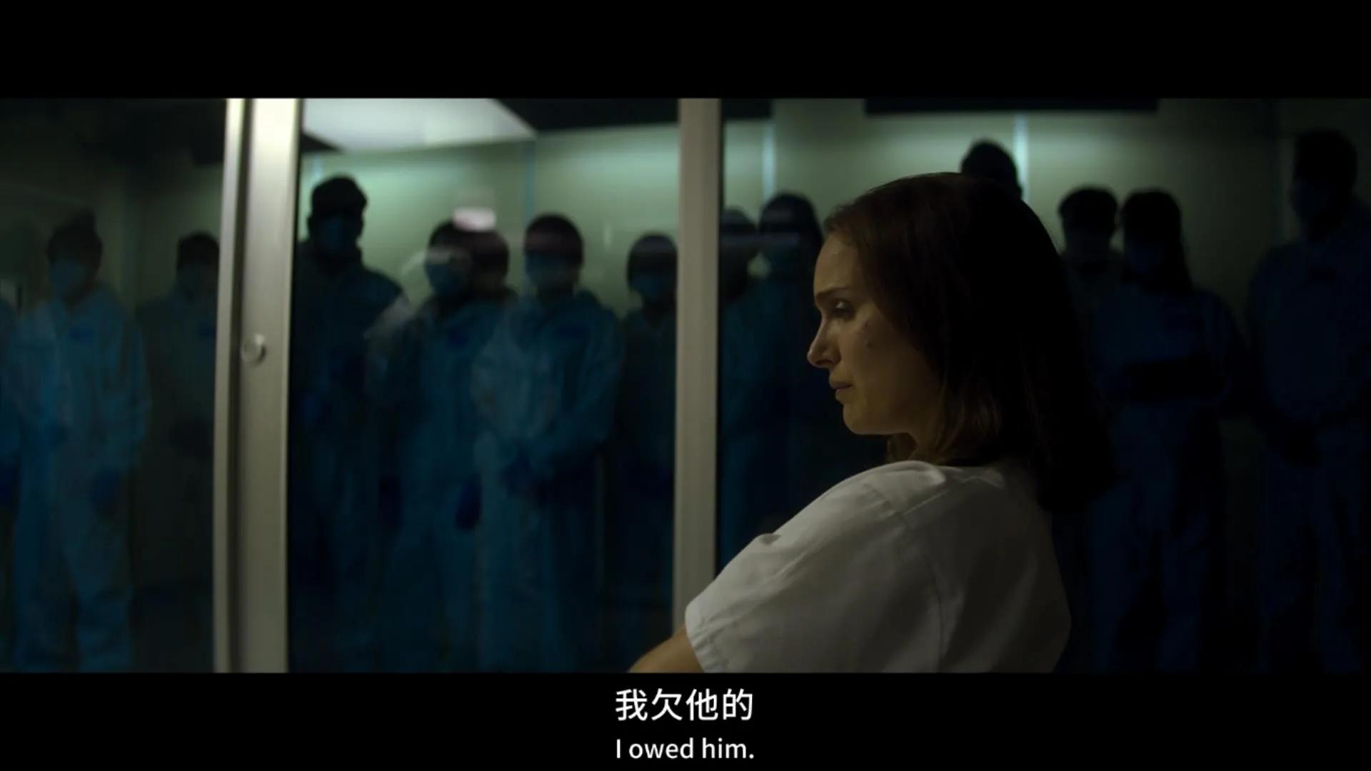 湮灭电影深度解析,湮灭电影到底湮灭了什么