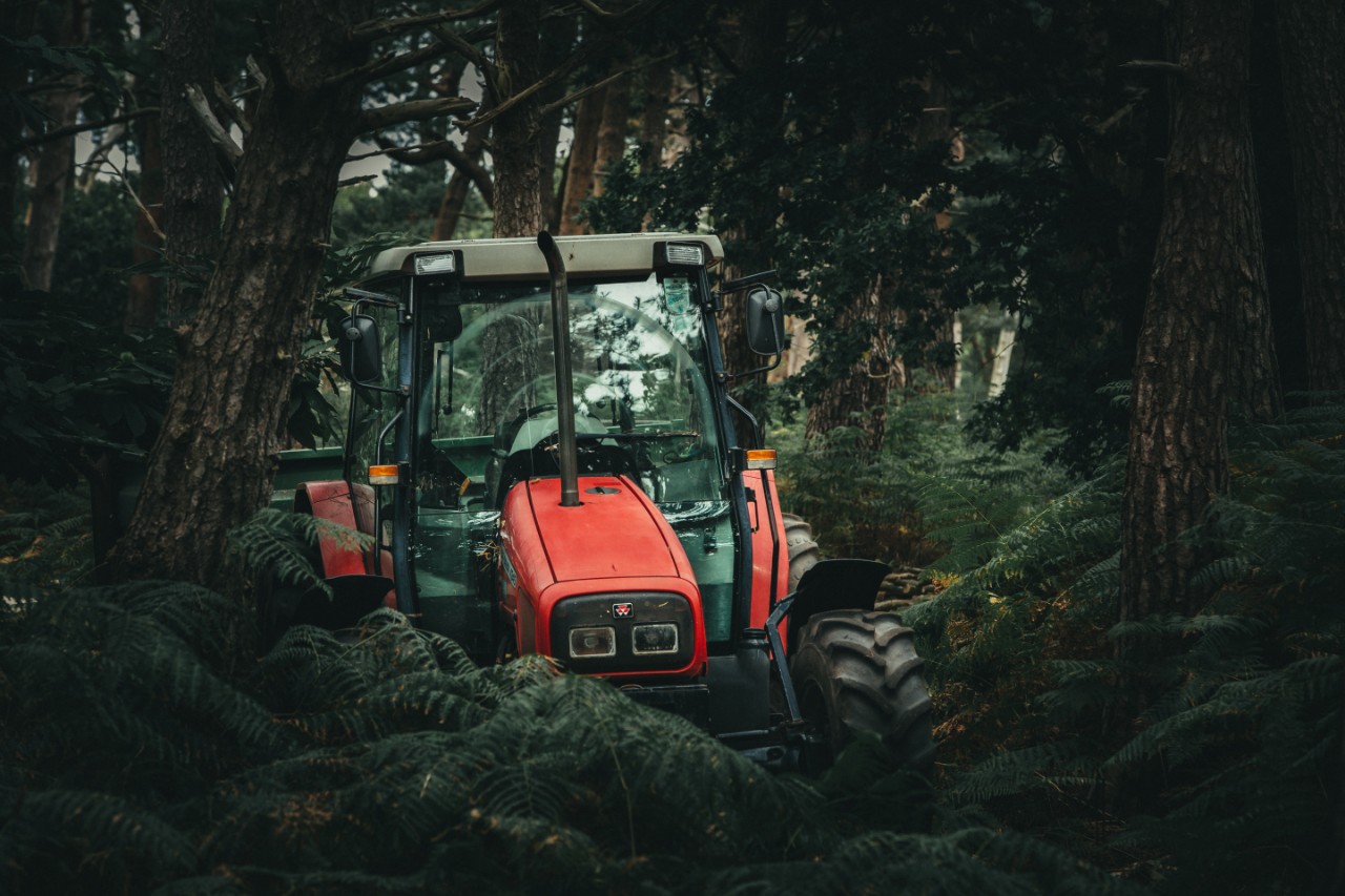 劣币驱逐的良币,劣币驱逐是良心吗