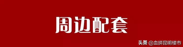 一梯两户南北通透楼盘,洋房2梯2户的房