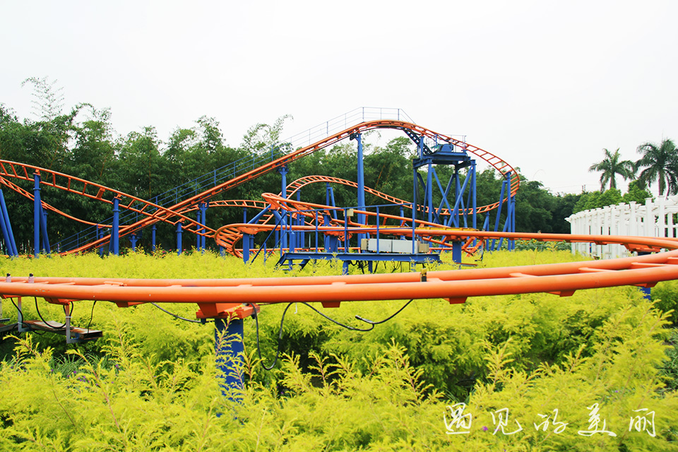 百万葵园有多坑,百万葵园免门票