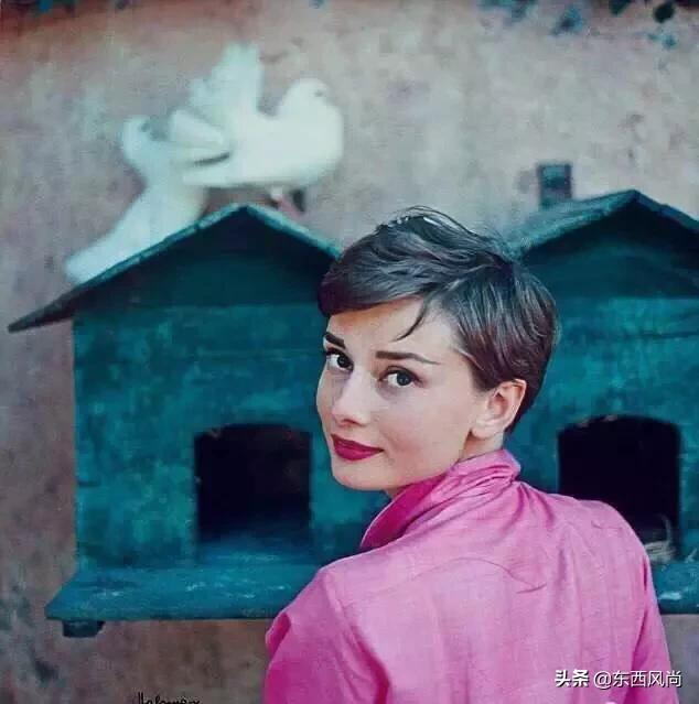 美丽优雅气质美女,美丽气质优雅的美人