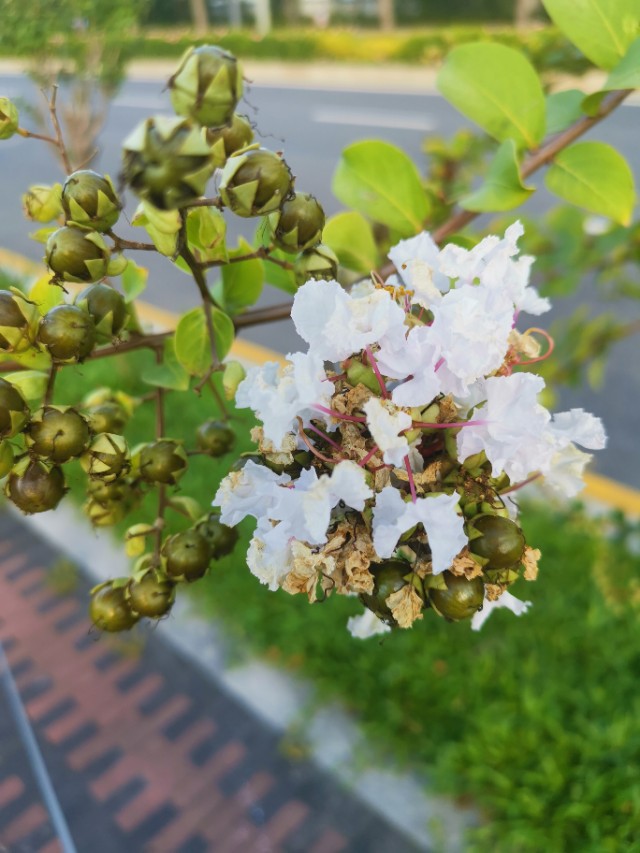 炒股第一误区纯看技术指标,炒股技术派最新消息