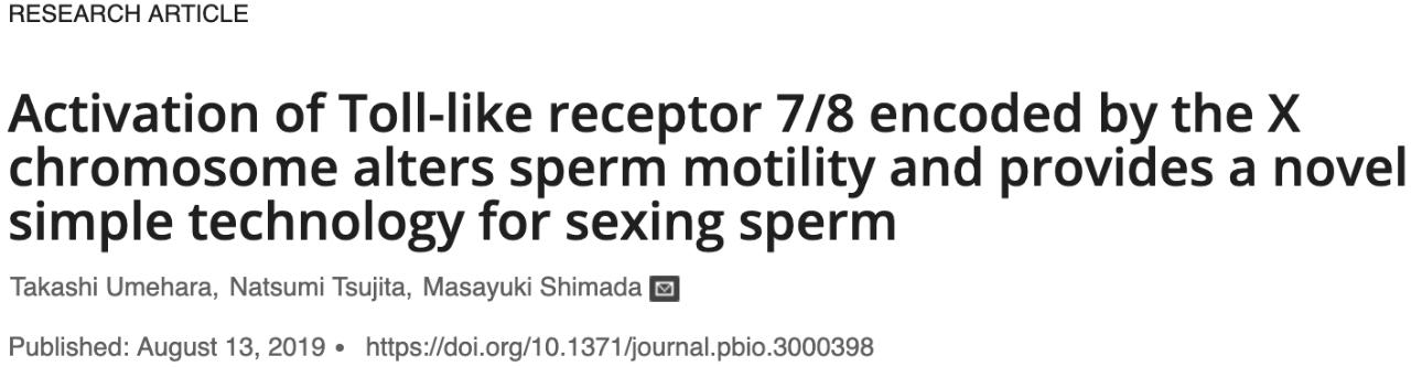 xy精子分离术是什么,分离精子技术