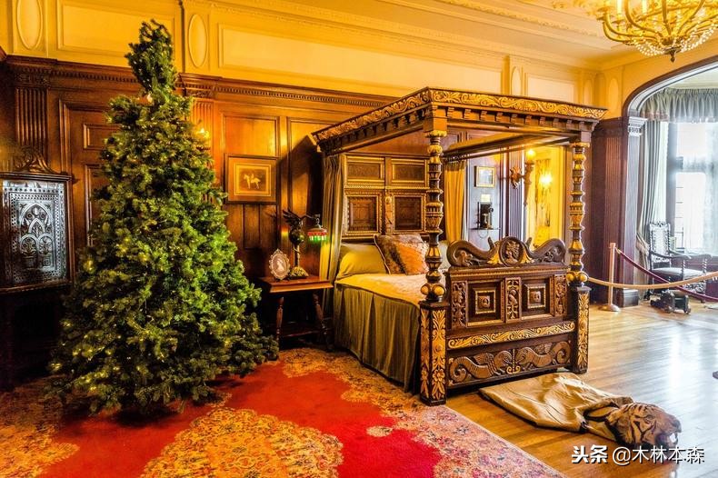 加拿大多伦多生活日记,加拿大多伦多留学生活纪实