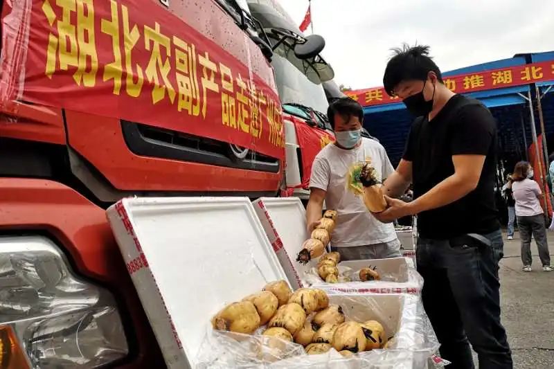 番禺｜爱心速递！松洲街助力近200吨湖北滞销农副产品走进广州千家万户