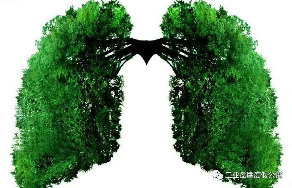 三亚最好的候鸟老年公寓排名,三亚冬季避寒养老公寓