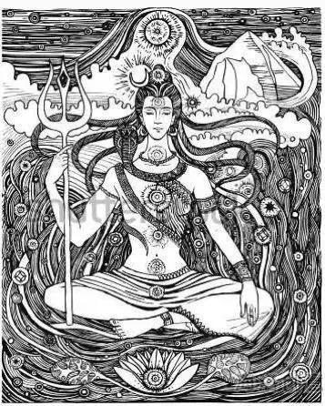 金刚菩提子手串知识大全,讲解金刚菩提的书籍