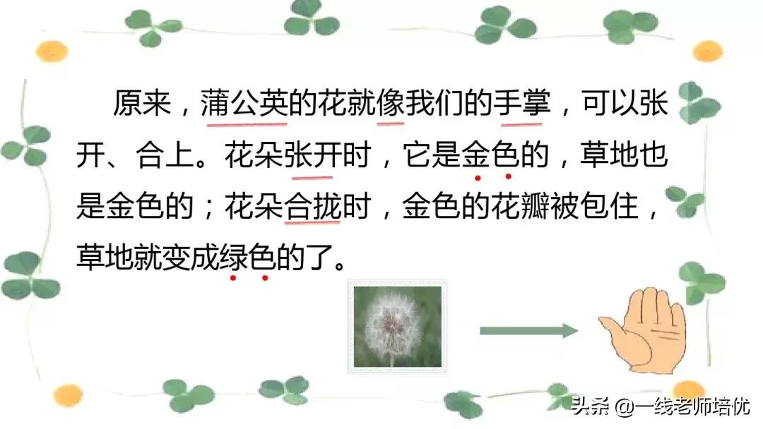 三年级语文金色的草地展现了什么,语文三年级上金色的草地课文讲解