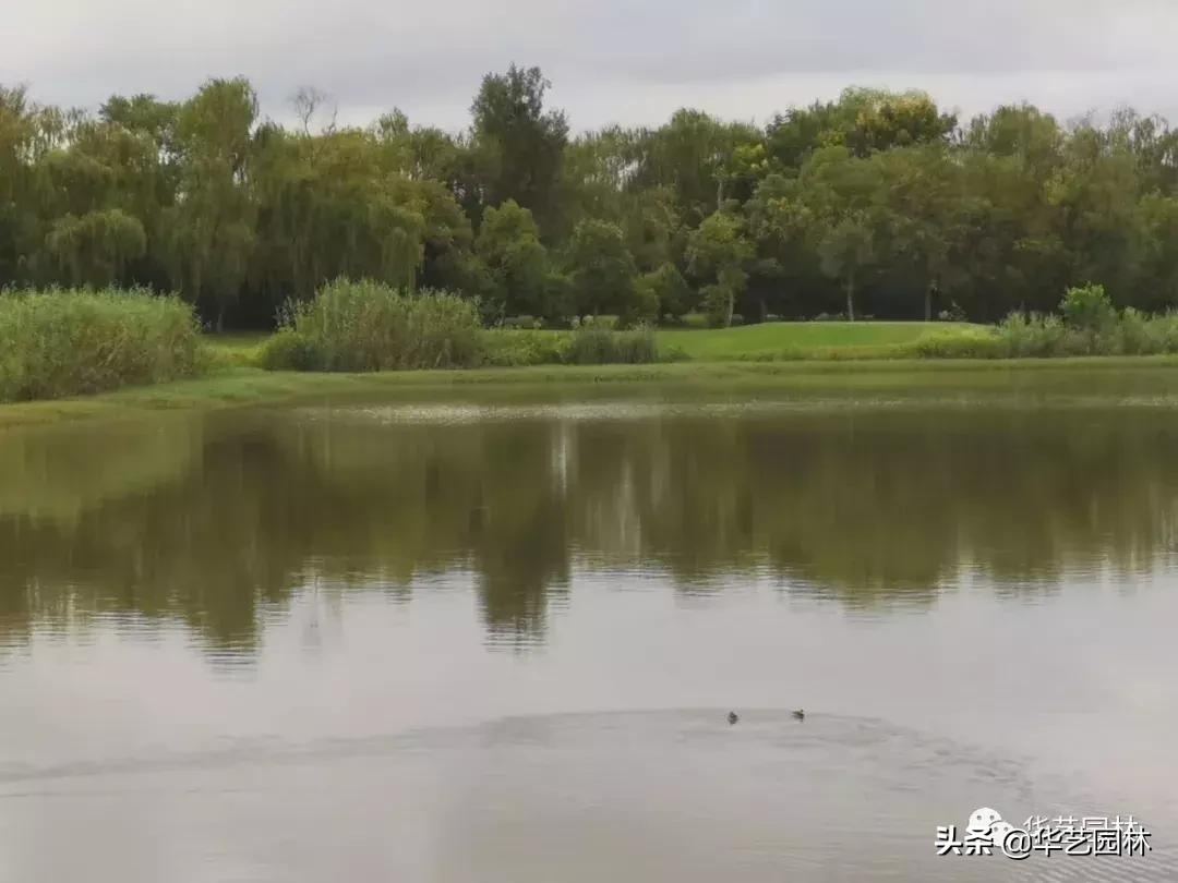 白露的诗句露从今夜白,白露至凉风起且看露从今夜白