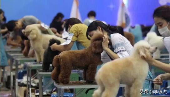 宠物医院靠什么盈利赚钱的多,宠物医院不赚钱为什么越开越多