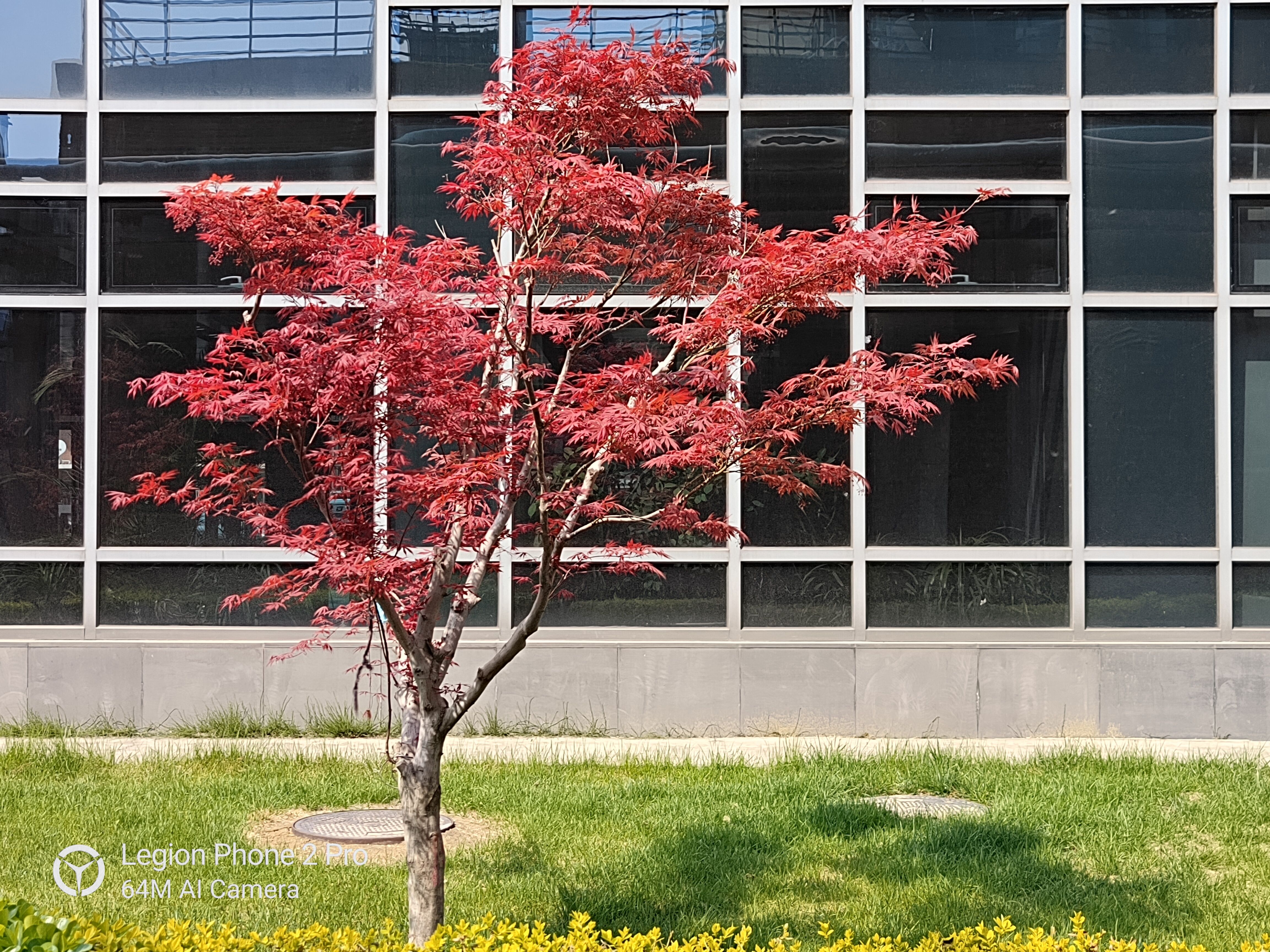 拯救者电竞手机2pro深度测评,拯救者电竞手机2pro18g512出售