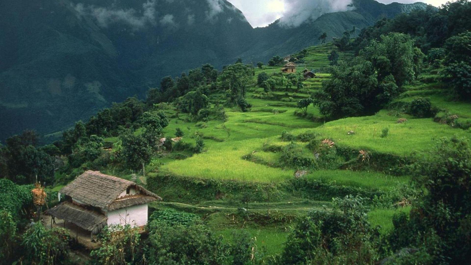 孟浩然过故人庄古诗赏析内涵,孟浩然的过故人庄解读