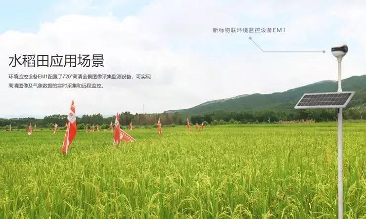 “看测者”亮相第13届广州国际粮油博览会助力良种“玉晶91”推广