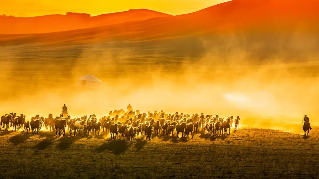 呼伦贝尔的民族风光和习俗,呼伦贝尔巴尔虎民俗文化