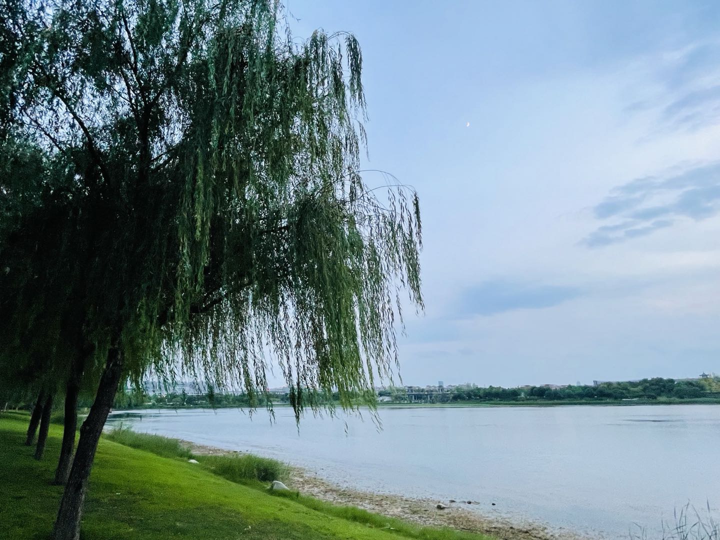 推文合集30本好看的搞笑沙雕文,高质量沙雕搞笑文言情