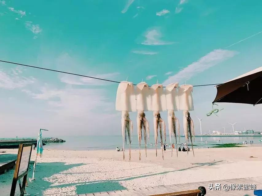 手机拍照新玩法,手机拍照可以有什么功能