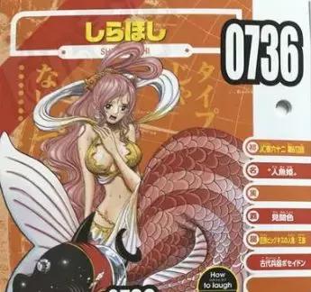 海贼王中有哪些令人赞叹的设定,海贼王三种霸气设定