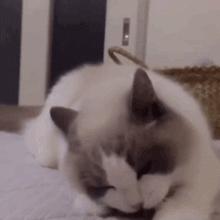 几个月的男宝需要清洗包皮吗,男宝多大开始洗包皮