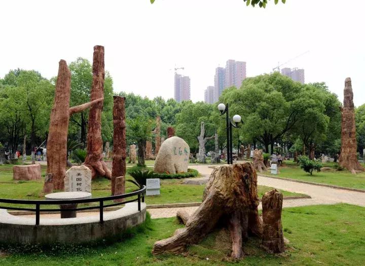 全球最大的地质学院，中国地质大学武汉，在地球科学领域享有盛誉