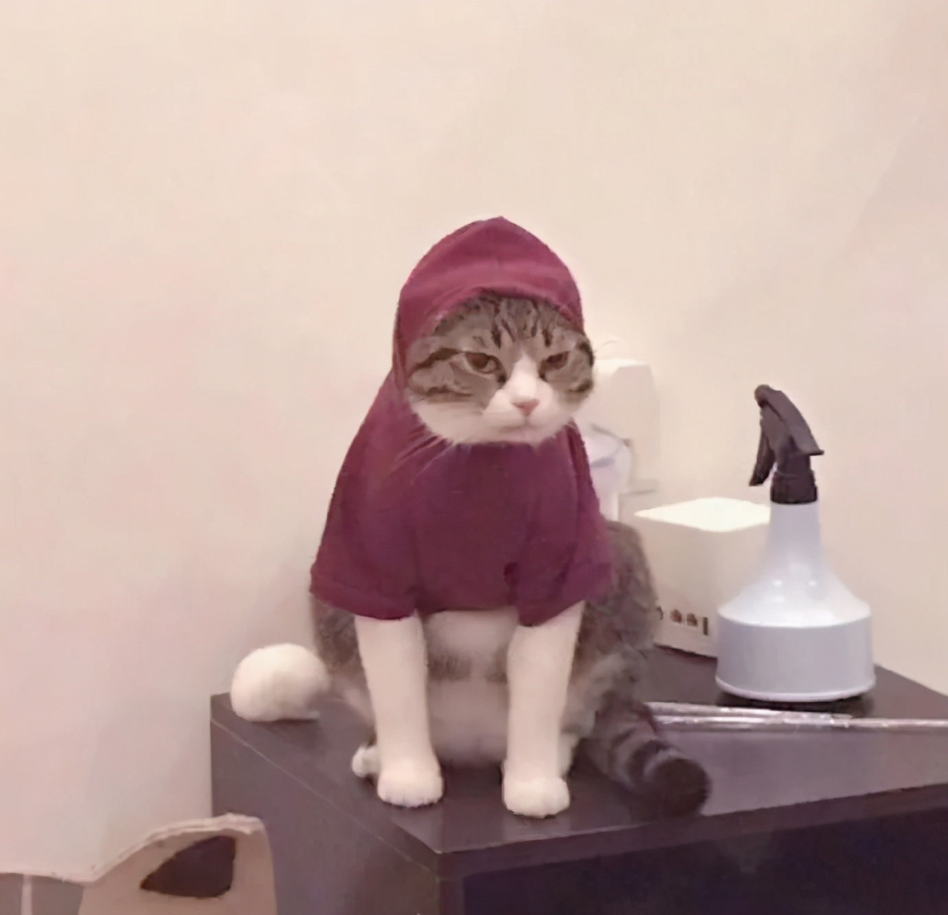 100张好看不常见的微信头像,适合中年女人高雅的微信头像