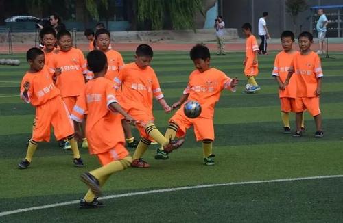 中国有多少青训足校,中国所有的足校
