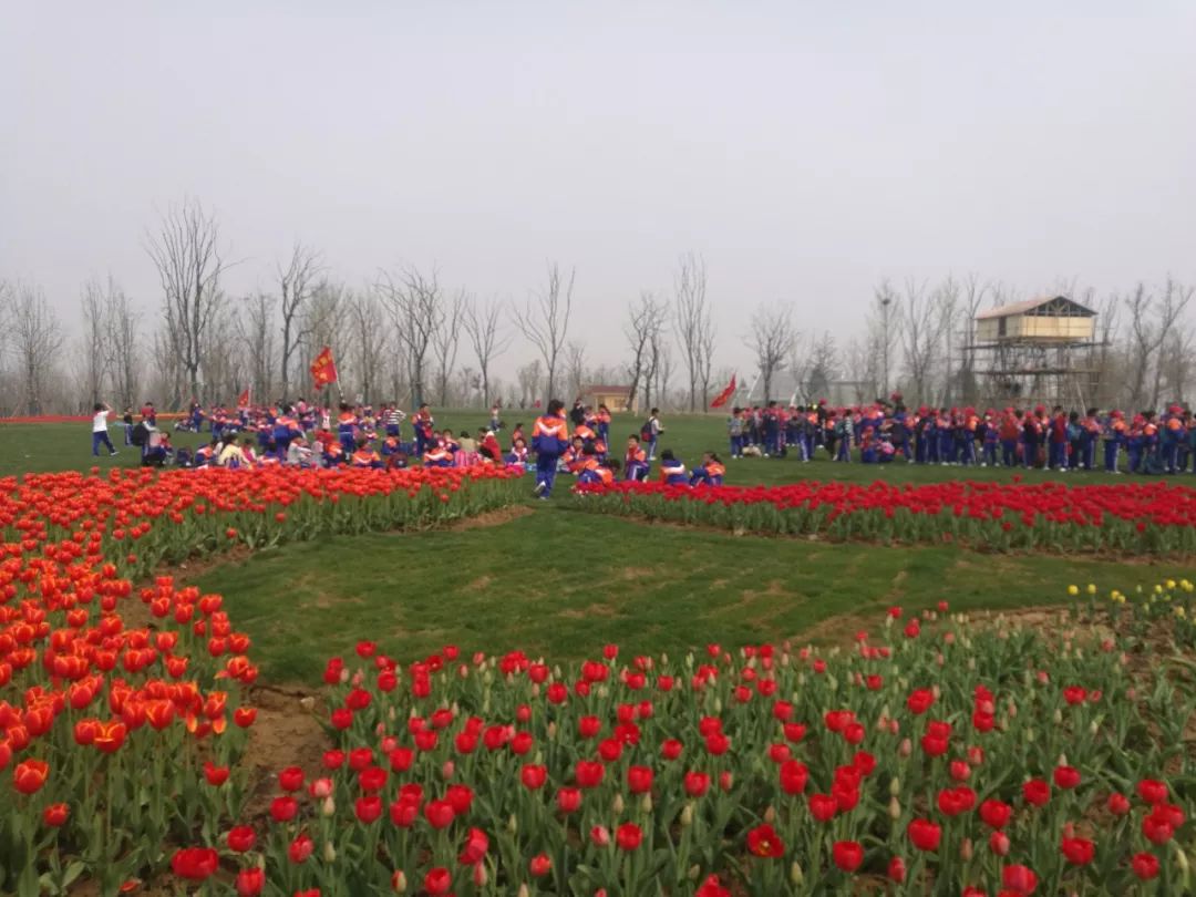 阜城大型公园在哪里,花海剧场区