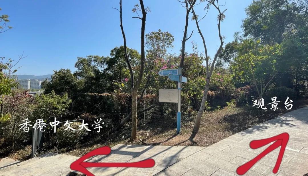 大运绿道跑步路线,大运公园绿道