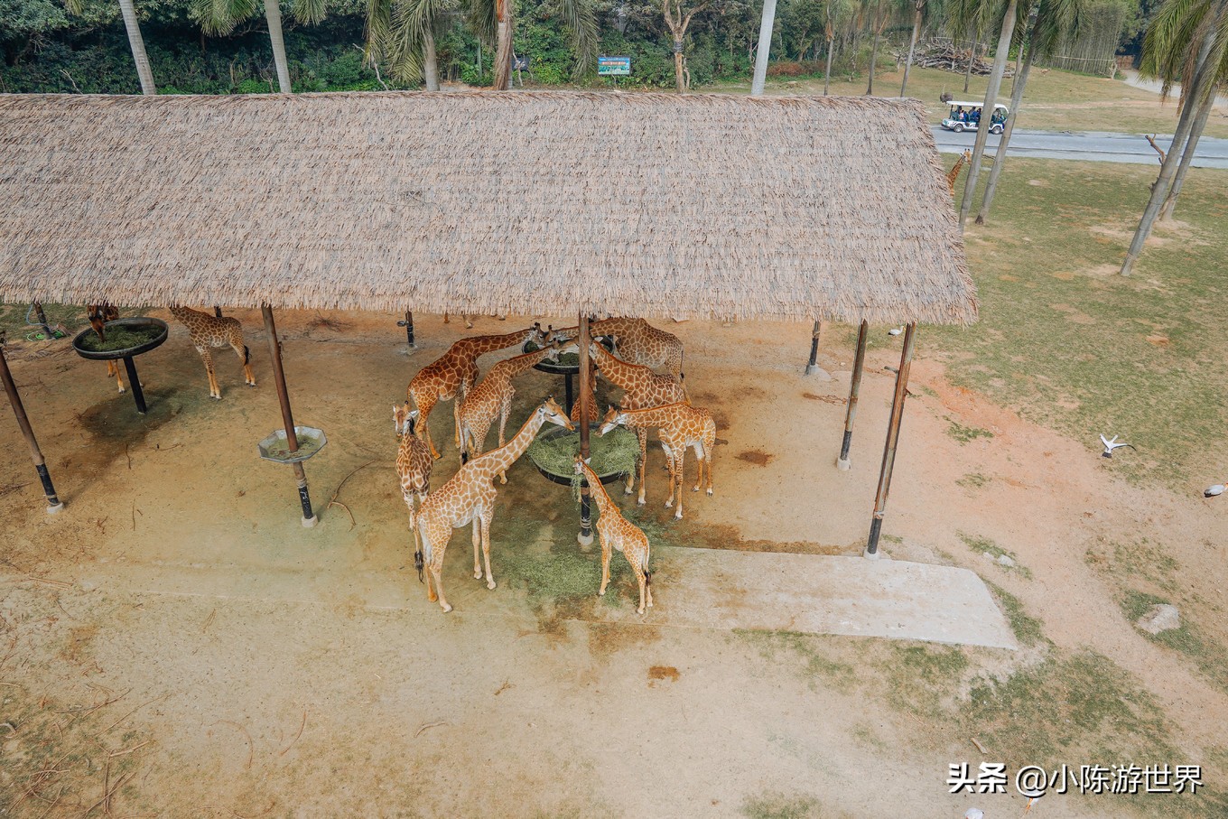 寒假广州长隆三天两夜亲子游攻略,带孩子广州长隆旅游攻略