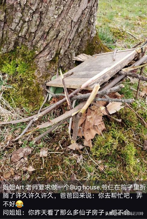 微笑围观美国网课:放过彼此,欢乐玩去吧,学习什么的都是浮云